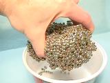 bb8.jpg (4656 bytes)