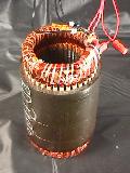 stator.jpg (5660 bytes)